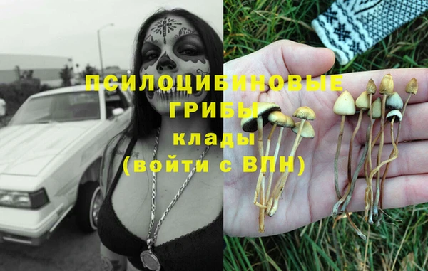 мдпв Горнозаводск
