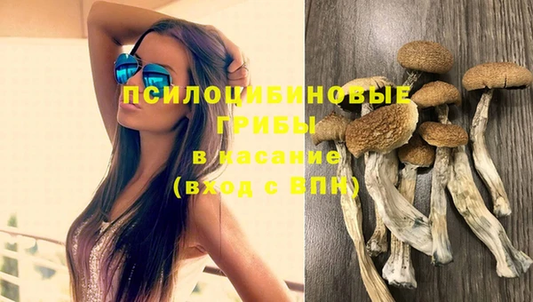 мдпв Горнозаводск