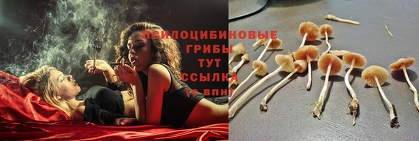 мдпв Горнозаводск