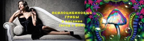 дурь Горняк