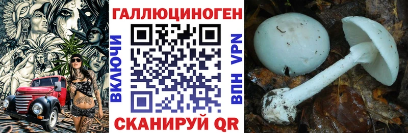 Псилоцибиновые грибы мухоморы  хочу   Елец 