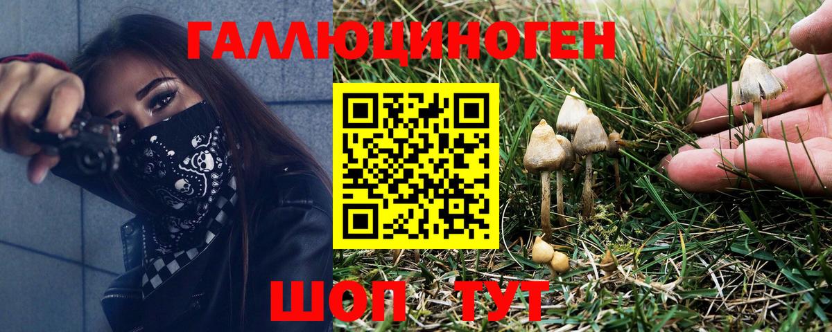 Галлюциногенные грибы прущие грибы  наркотики  Елец  Вход с VPN 