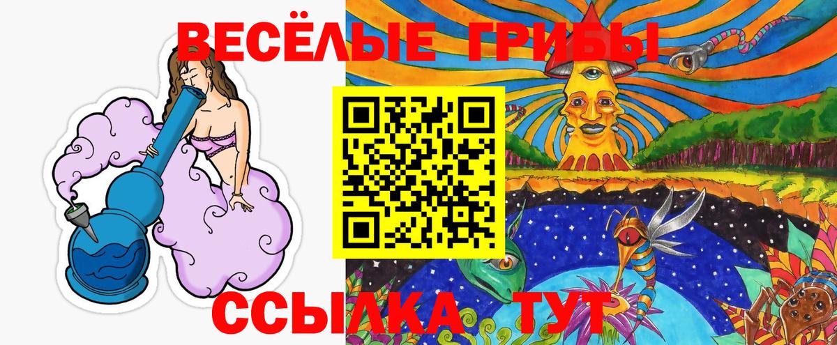 Псилоцибиновые грибы Magic Shrooms Елец